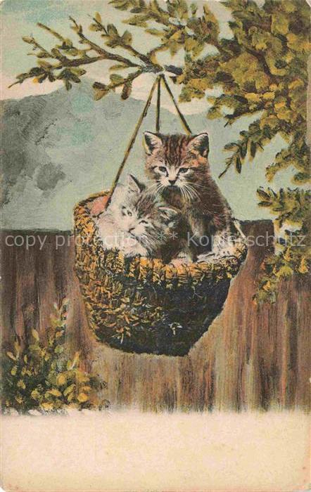KATZEN Cats Chats Gatos Gatti-- Korb