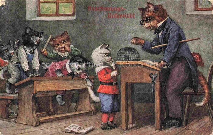 Vermenschlicht Humanises-- Schule Unterricht Katzen