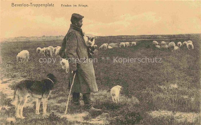 Schaeferei Sheperding Bergerie-- Beverloo Truppenplatz Frieden im Krieg Hund