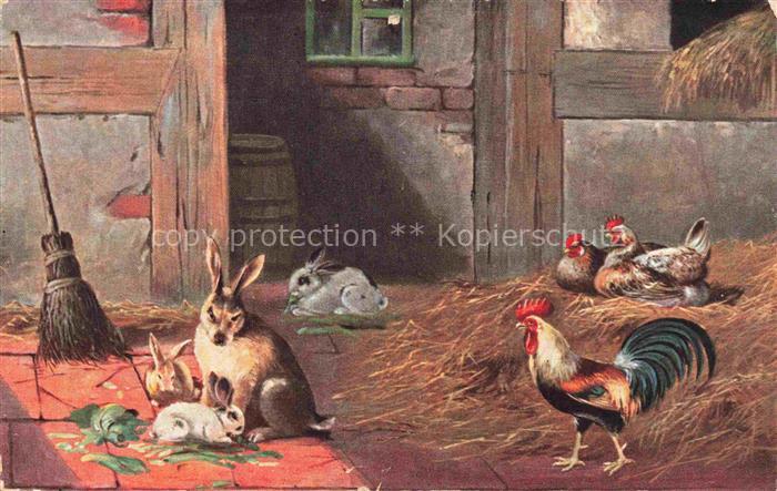Hasen -Rabbits Lapins Conejos-- Huehner