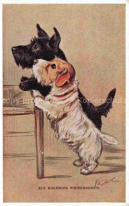 Verlag Primus Nr. 2564 Hunde