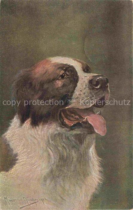 HUNDE dogs chiens-- Bernhardiner