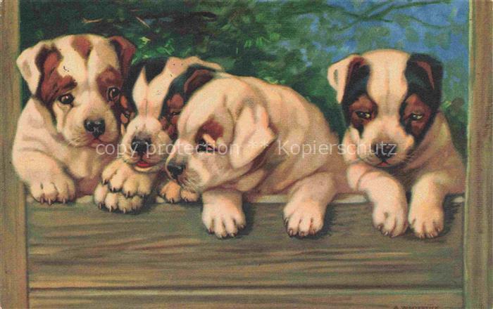 HUNDE dogs chiens-- Welpen