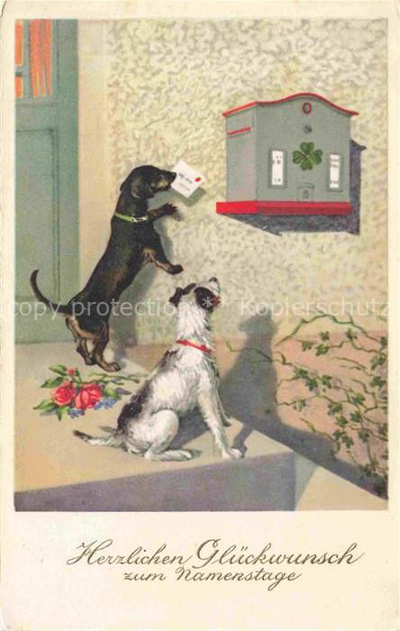 Dackel Dachshund Teckel Hunde dogs Chiens Cani Briefbote