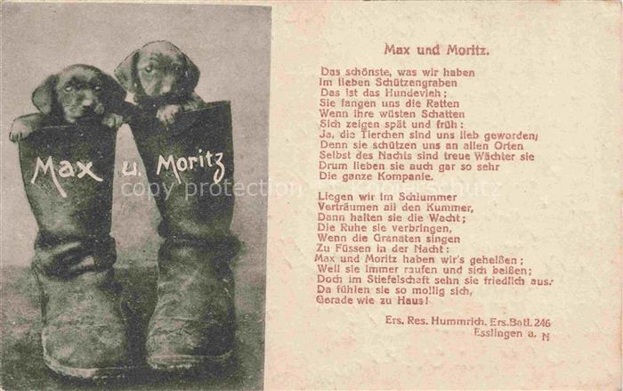 HUNDE dogs chiens-- Max und Moritz