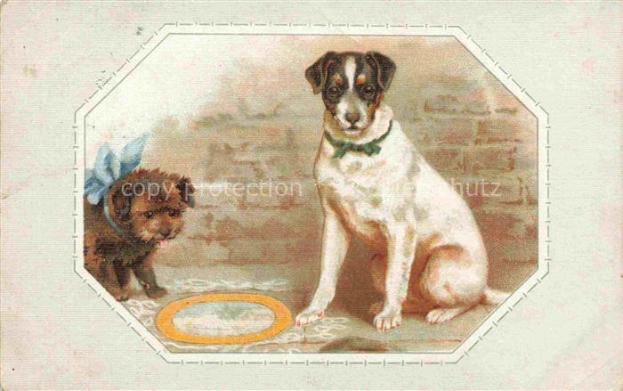 HUNDE dogs chiens--
