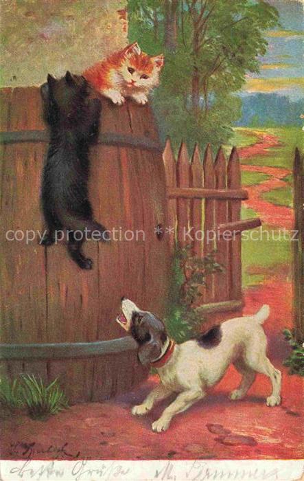 HUNDE dogs chiens-- Katzen