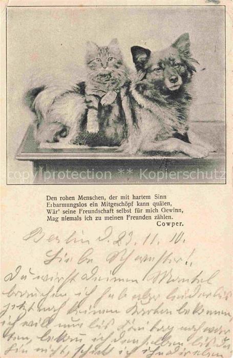HUNDE dogs chiens-- Cowper Katze