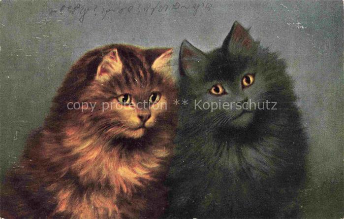 KATZEN Cats Chats Gatos Gatti-- Schwarz Braun