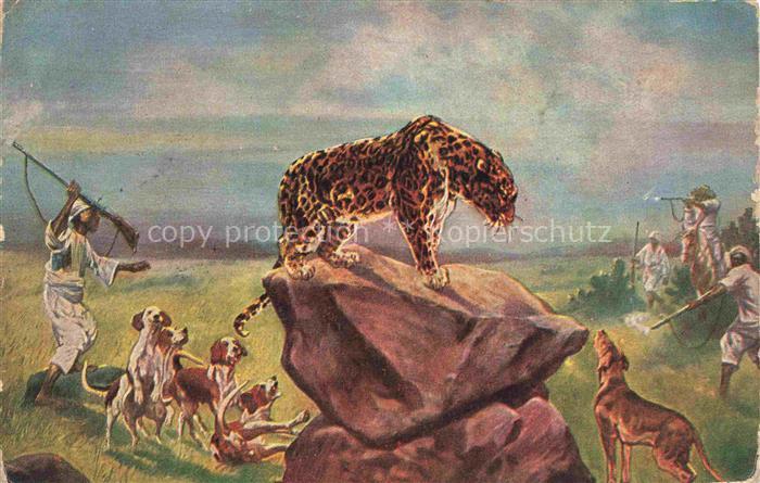 Jagd Chasse Hunting Leopard Hunde