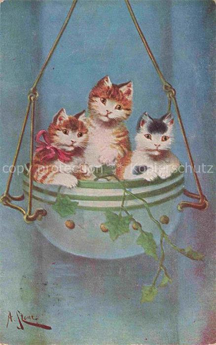 KATZEN Cats Chats Gatos Gatti-- Blumentopf
