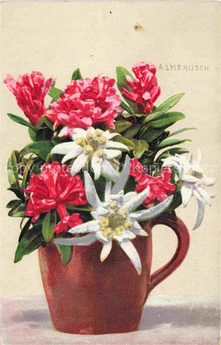 Verlag Photochromie Nr. 1173 Bluemen