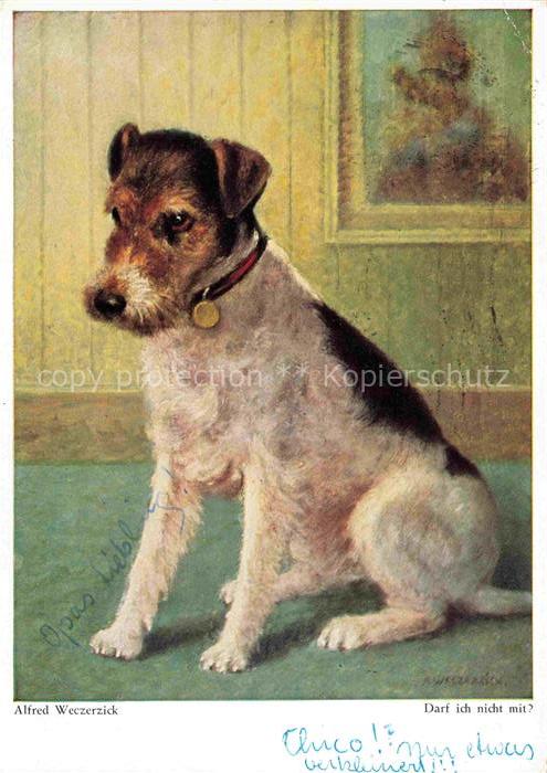 WECZERZICK Alfred Kuenstlerkarte Darf ich nicht mit Hund