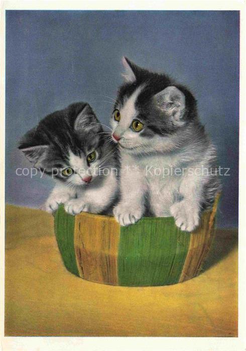 KATZEN Cats Chats Gatos Gatti-- Babys