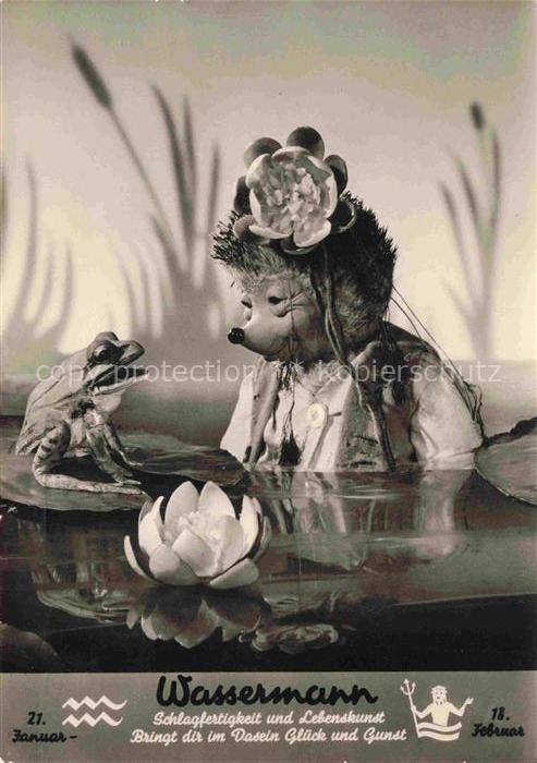 MECKI Nr. 502 Hoer Zu Wassermann Sternzeichen