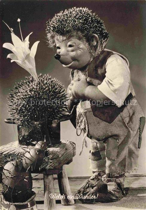 MECKI Nr. 18 Hoer Zu Welche ein Wunder Igel Pflanzen