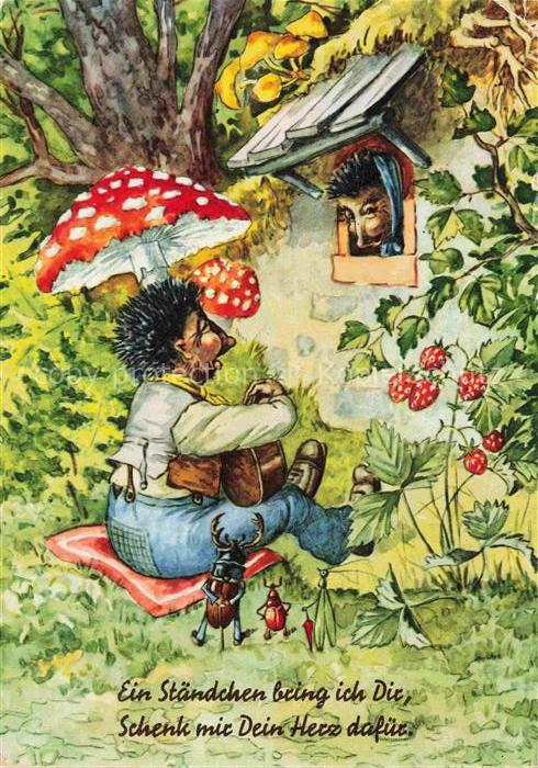 IGEL Hedgehog Herisson Erizo-- Pilze Gitarre Vermenschlicht