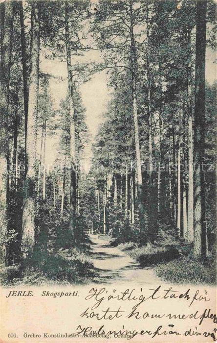 Jerle oerebro Sweden Skogsparti Wald Kiefern Waldweg Natur