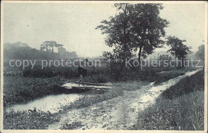 Japan Landschaft Reisfelder