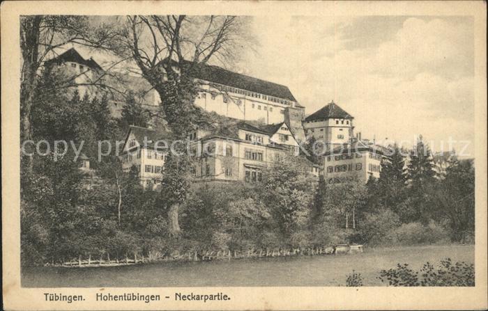 TueBINGEN BW Hohentuebingen Neckarpartie
