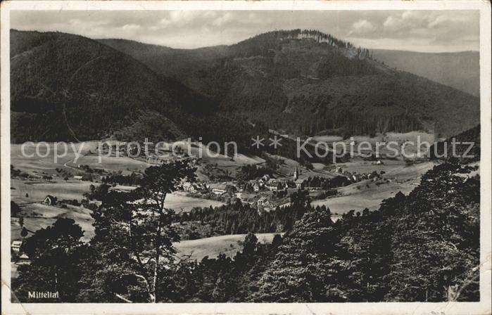 Mitteltal Schwarzwald Panorama Luftkurort
