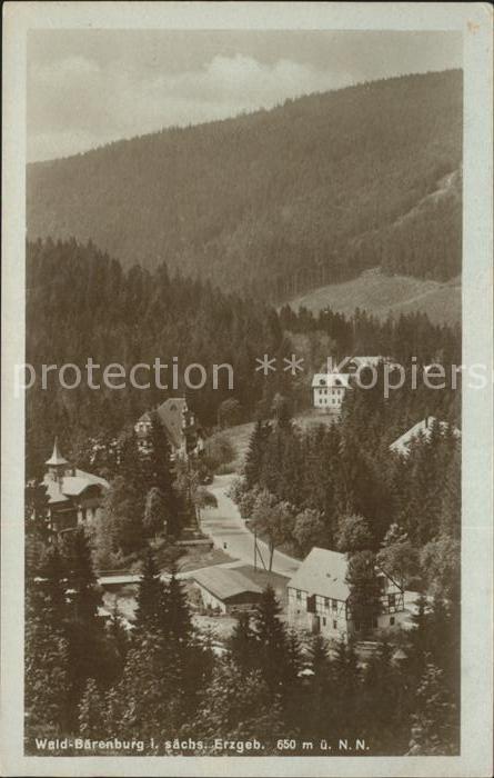 Waldbaerenburg Teilansicht