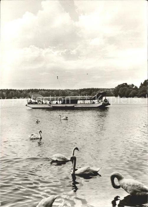 Reichenbach Vogtland Schwaene See Boot