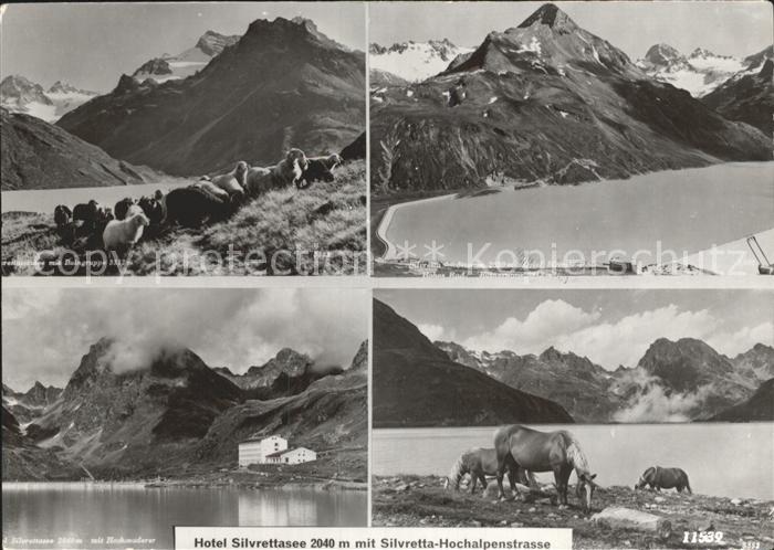 Silvretta-Hochalpenstrasse Hotel Silvrettasee Stausee Schafe Pferd