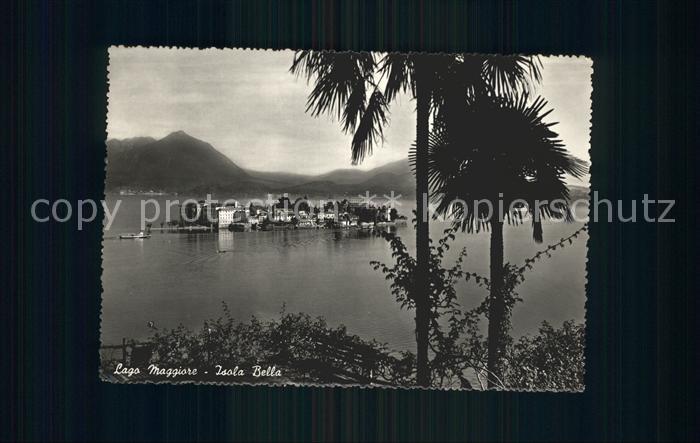 Isola Bella Lago Maggiore Insel Palmen