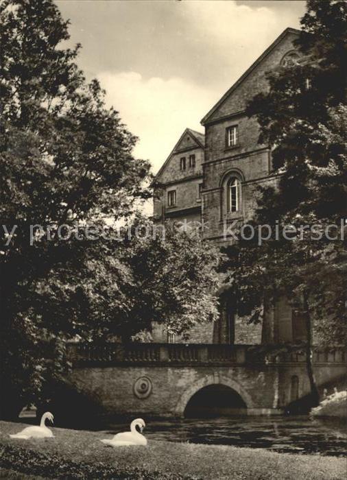 Koethen Anhalt Schlosspark Bruecke Schwaene