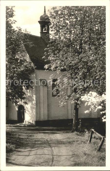 Boppard Rhein Forsthaus Kreuzberg Baumbluete
