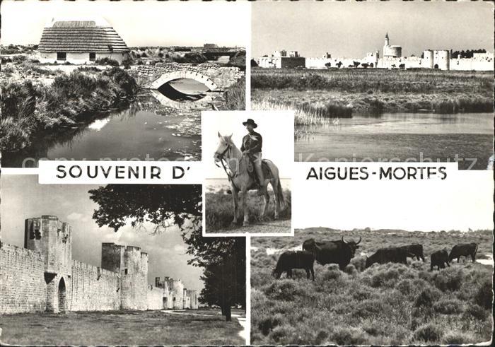 Aigues-Mortes Gard Stadtmauer Rinderherde Gaucho