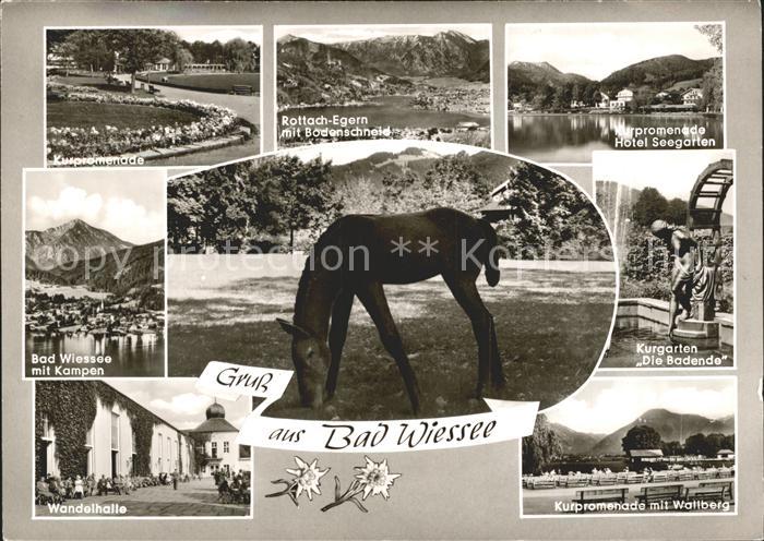 Bad Wiessee Kurpromenade Rottach Egern Bodnschneid Hotel Seegarten Kampen Kurgar