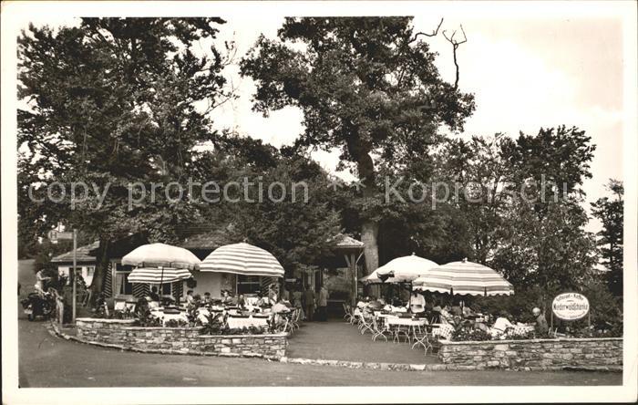 Ruedesheim Rhein Niederwaldschaenke