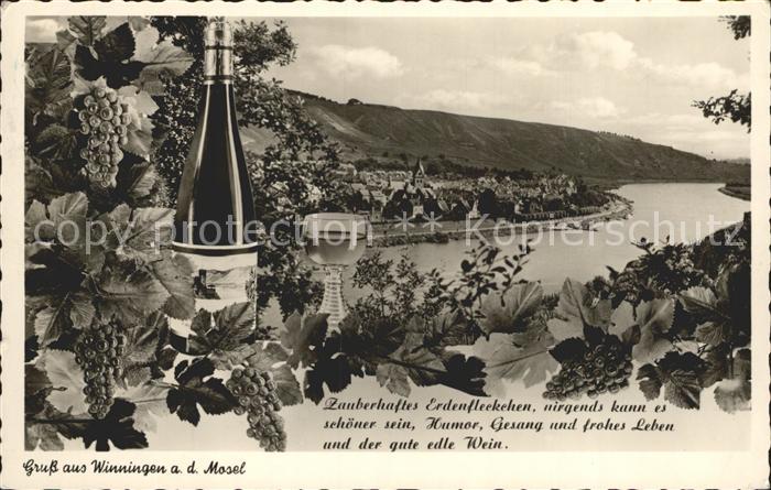 Winningen Mosel Panorama