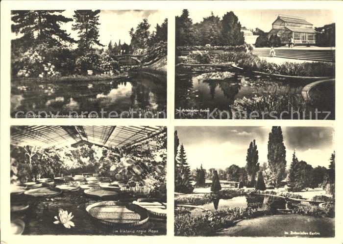 Dahlem Berlin Botanischer Garten Details Viktoria regia Haus