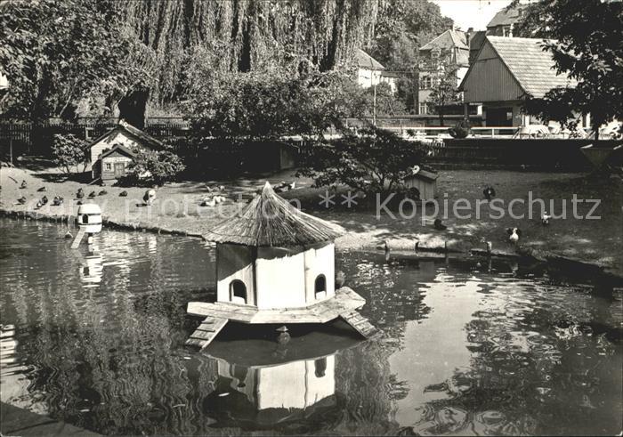 Bischofswerda Tierpark Ententeich