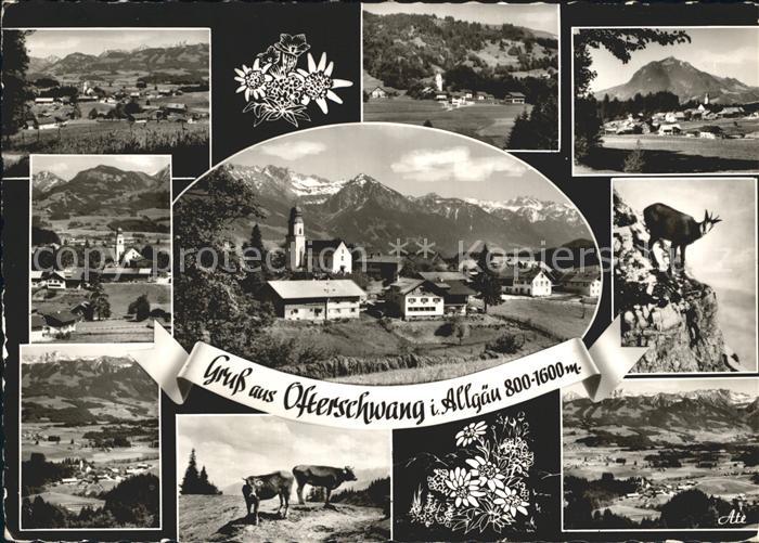 Ofterschwang Orts und Teilansichten Kirche Kuehe Gemsen Panorama