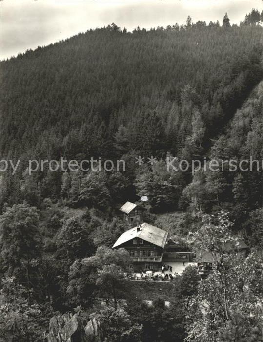 Schwarzburg Thueringer Wald HOG Schweizerhaus