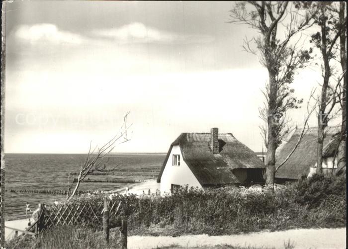 Ahrenshoop Ostseebad Am Steilufer