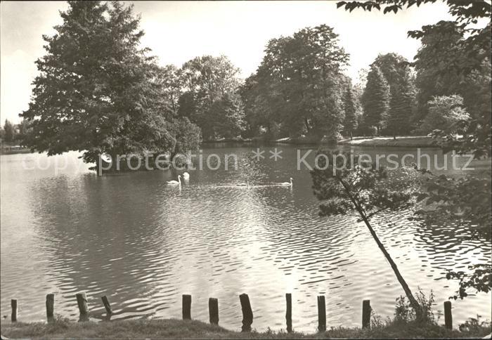 Stollberg Erzgebirge Am Walkteich