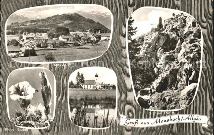 Moosbach Sulzberg Blauer Enzian Gruenten