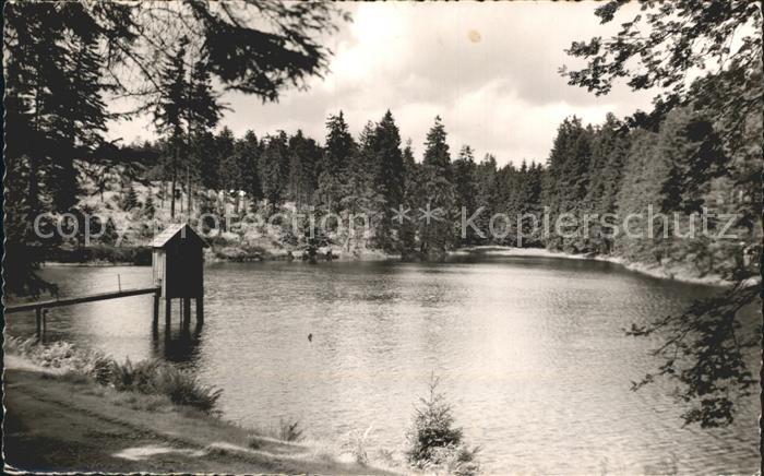 Clausthal-Zellerfeld Goslar Niedersachsen Kellerhalsteich