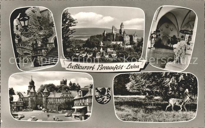 Braunfels Burg Reh Stadtplatz