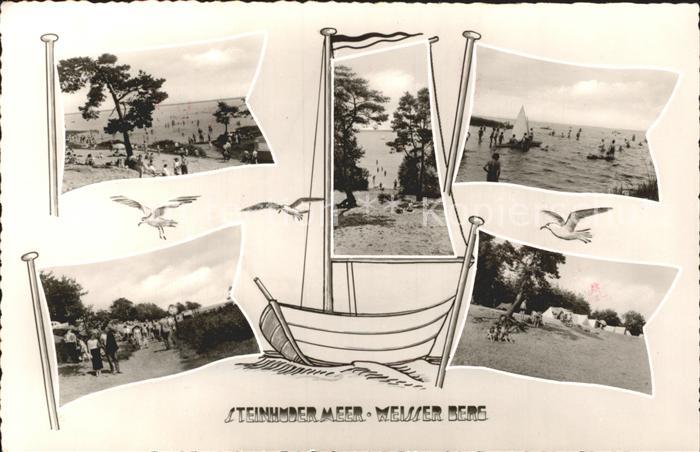 Steinhuder Meer Dueckerstuben Strand Moewe