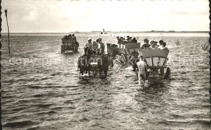 Duhnen Nordsee Begegnung Wattwagen Priel