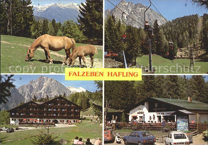 Falzeben Haflinger Sessellift Cafe Panorama