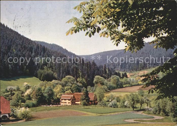 Ehlenbogen Mittlere Muehle