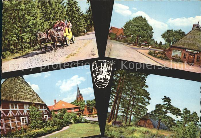 Lueneburger Heide Pferdekutsche Haeuser