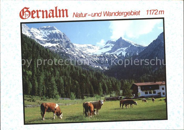 Pertisau Achensee Alpengasthof Gernalm